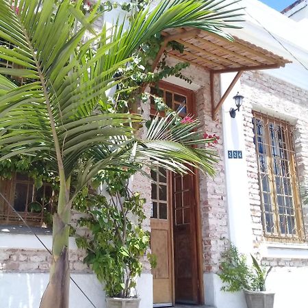 Frida Casa Hostel بيلوتاس المظهر الخارجي الصورة