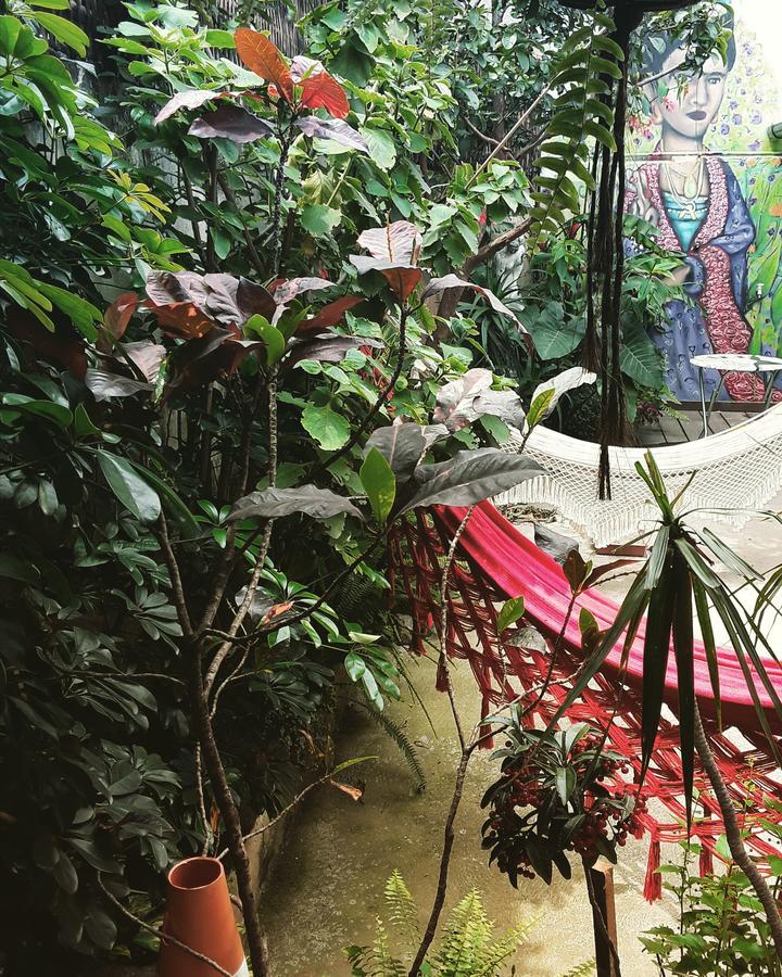 Frida Casa Hostel بيلوتاس المظهر الخارجي الصورة