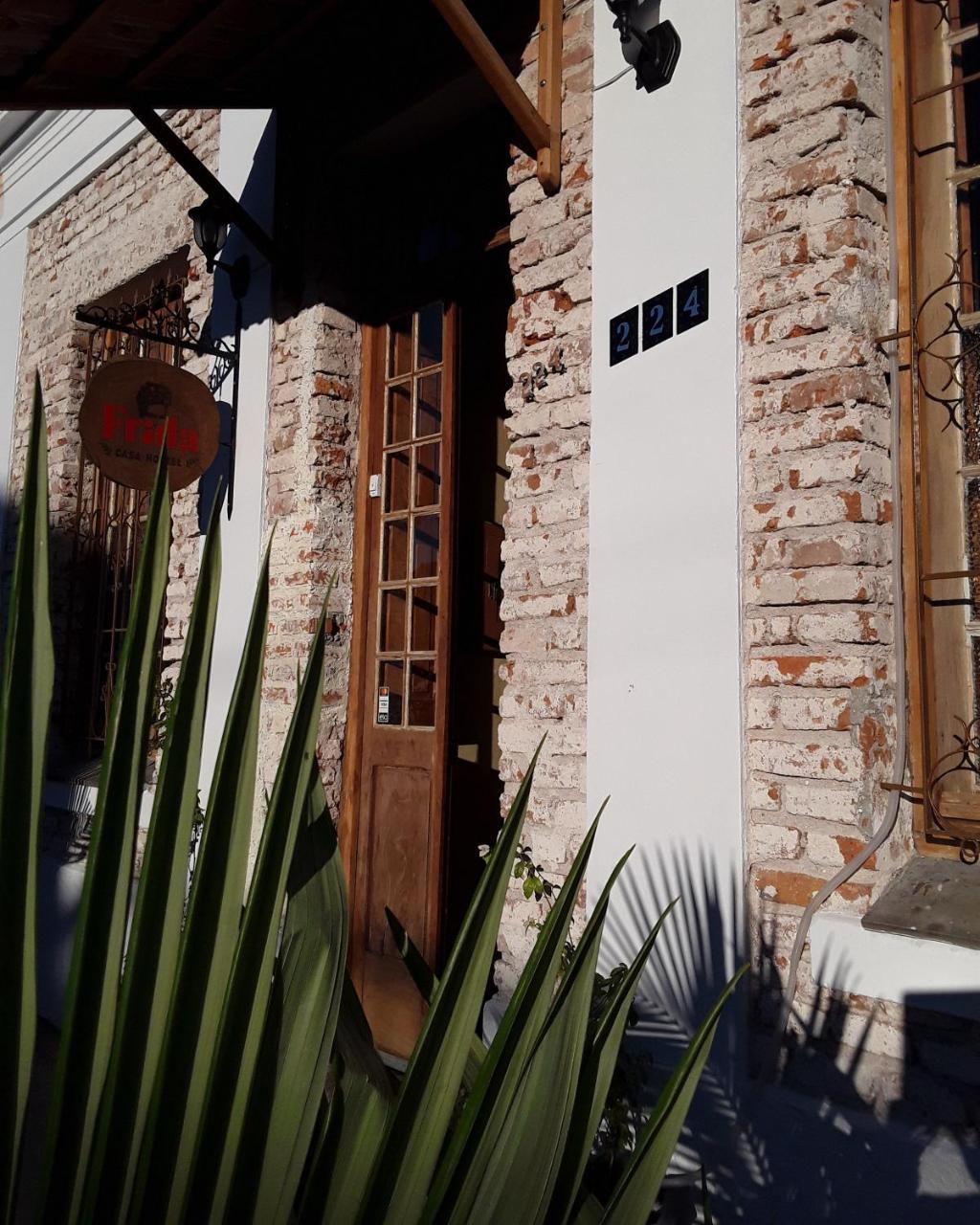 Frida Casa Hostel بيلوتاس المظهر الخارجي الصورة