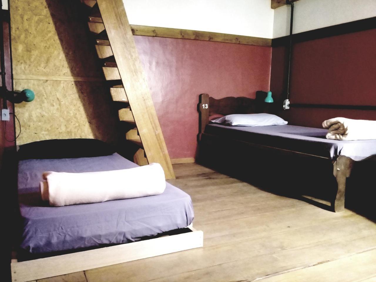 Frida Casa Hostel بيلوتاس المظهر الخارجي الصورة